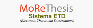 morethesis.unimore.it